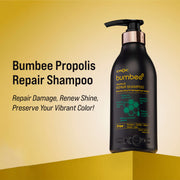 Bumbee Propolis-Enriched Hair Care Kit: Repair Shampoo & Color Treatment
